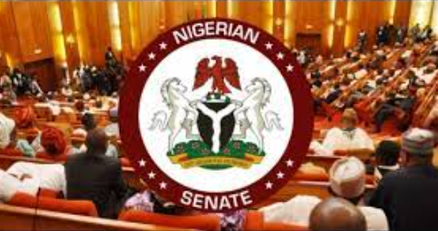 Senate okays Tinubu?s request to borrow $7.8bn, ?100m