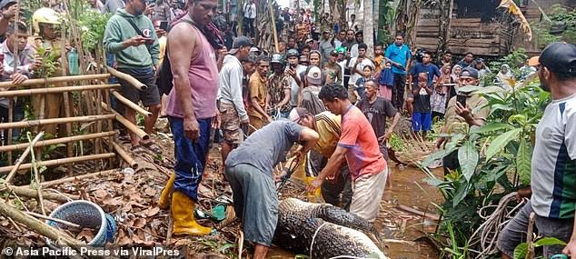 Crocodile k!lls woman who was bathing in river