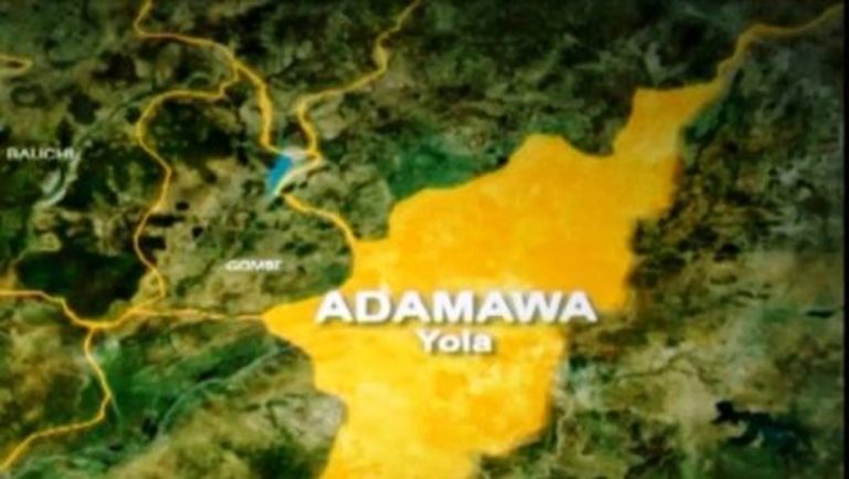 Adamawa State map