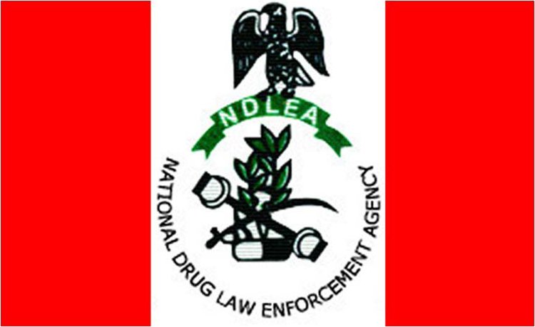 NDLEA