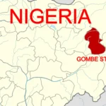 Gombe: Bus runs into Christmas procession, injures 22