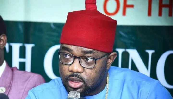 PDP expels house of reps member Ugochinyere over gross indiscipline